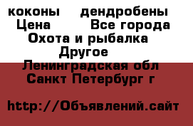 коконы    дендробены › Цена ­ 25 - Все города Охота и рыбалка » Другое   . Ленинградская обл.,Санкт-Петербург г.